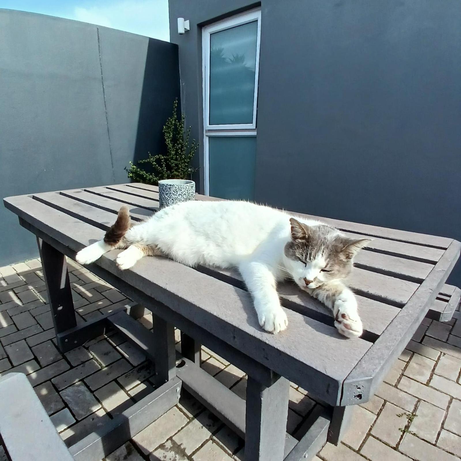 Wanderlust Private Studio Apartment Langebaan Buitenkant foto